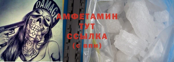 индика Алзамай
