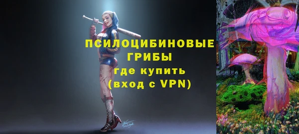 индика Алзамай