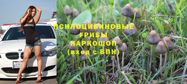 молекула духа Алексин