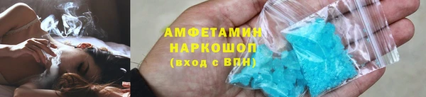 индика Алзамай