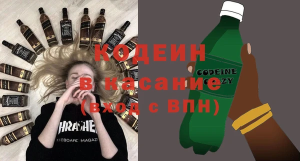 индика Алзамай