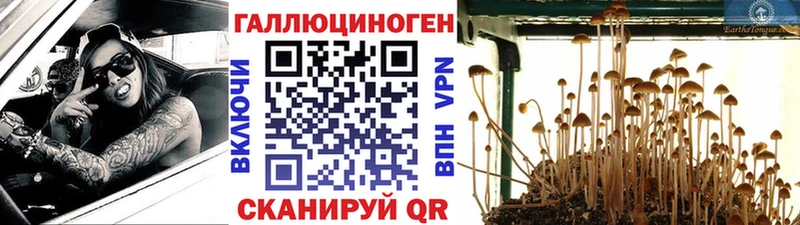Псилоцибиновые грибы прущие грибы  Конаково 